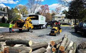 Best Stump Grinding and Removal  in Wentzville, MO